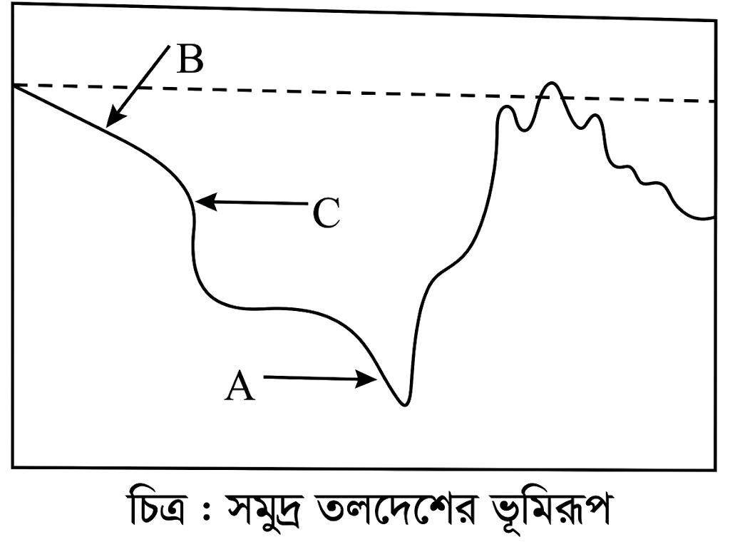 প্রশ্নের উদ্দীপক