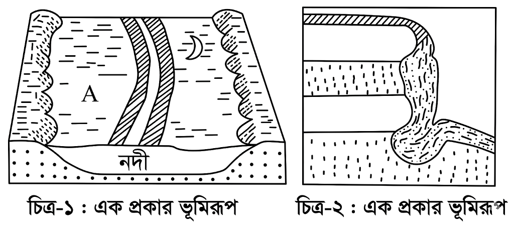 উদ্দীপকের ছবি