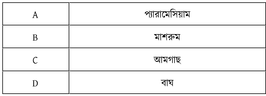 উদ্দীপকের ছবি