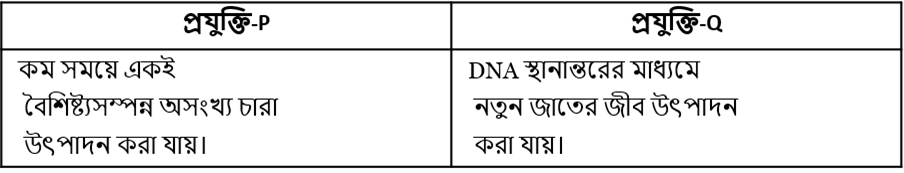 উদ্দীপকের ছবি