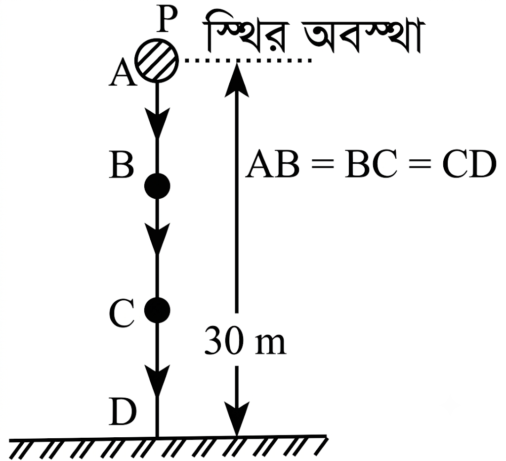 উদ্দীপকের ছবি