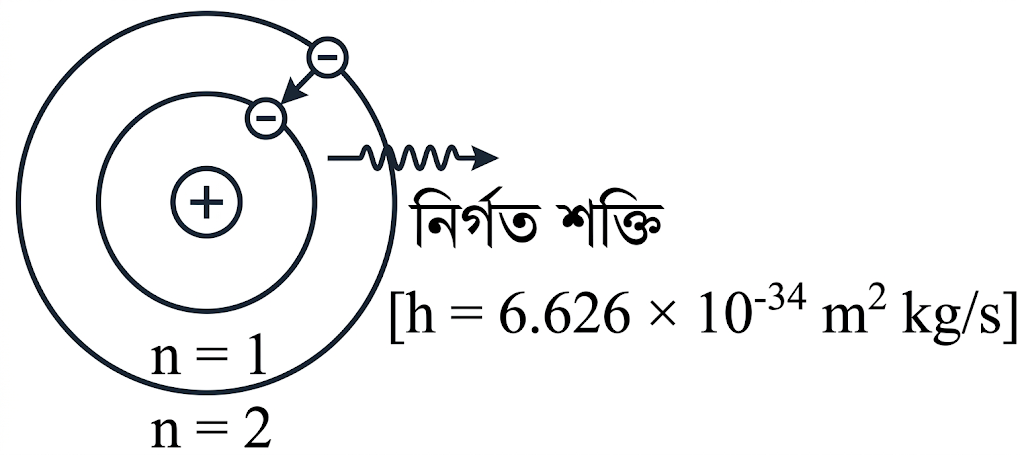 উদ্দীপকের ছবি