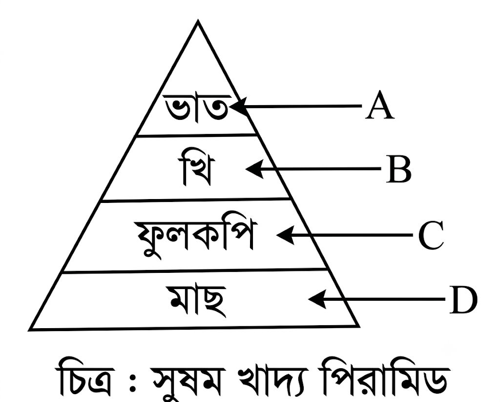 উদ্দীপকের ছবি