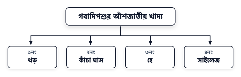 উদ্দীপকের ছবি