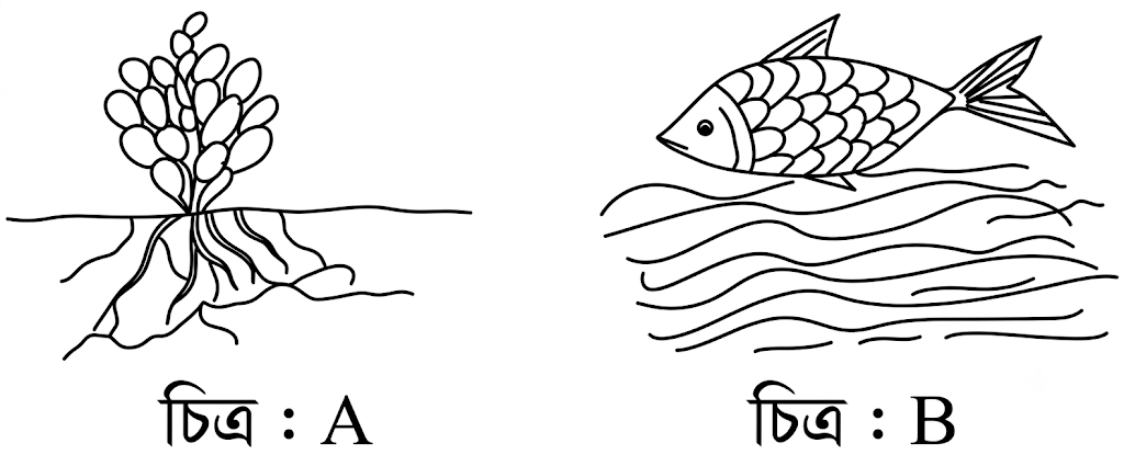উদ্দীপকের ছবি