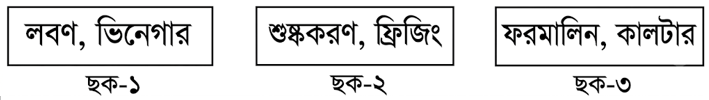 উদ্দীপকের ছবি