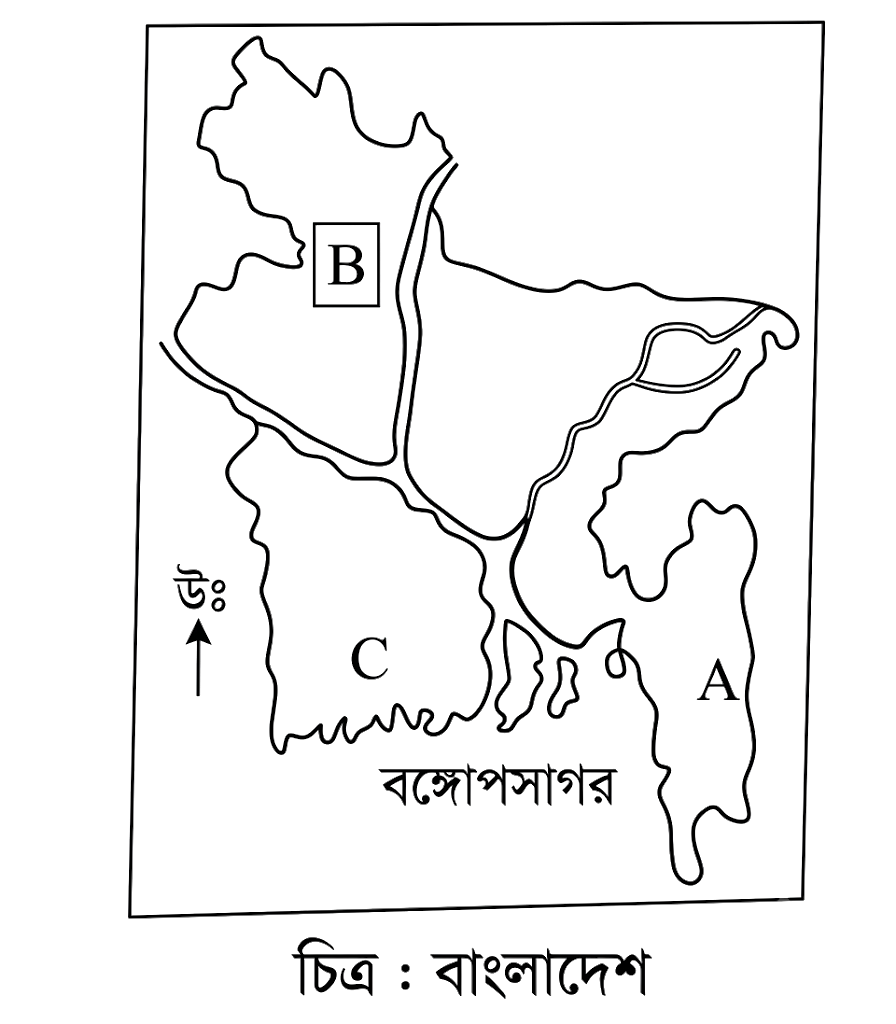 উদ্দীপকের ছবি