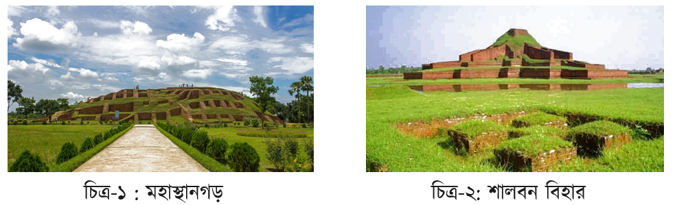 উদ্দীপকের ছবি