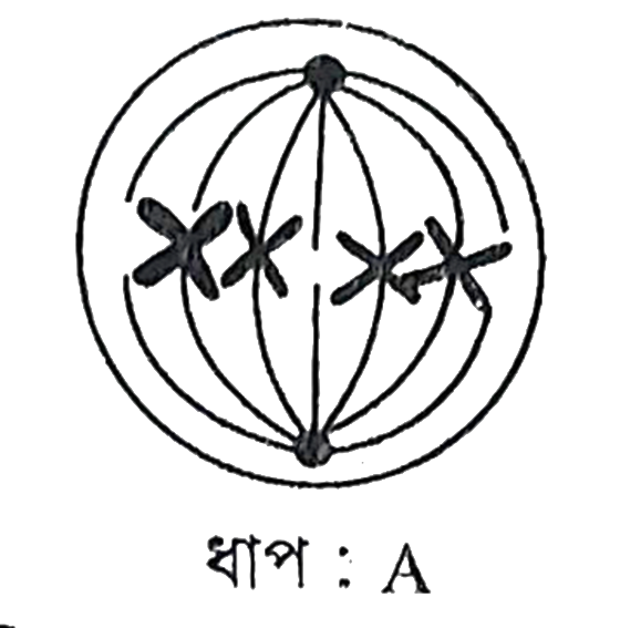 উদ্দীপকের ছবি