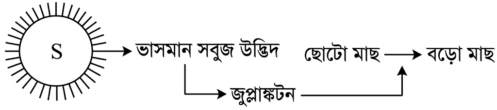উদ্দীপকের ছবি