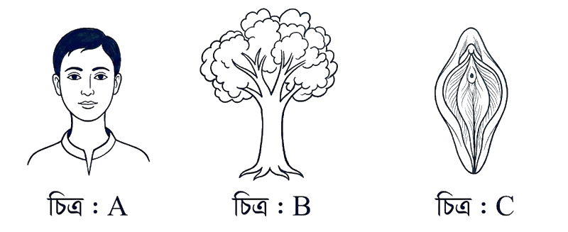 উদ্দীপকের ছবি