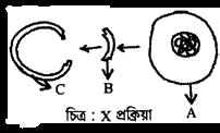 উদ্দীপকের ছবি
