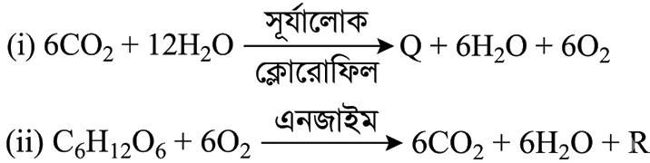 উদ্দীপকের ছবি