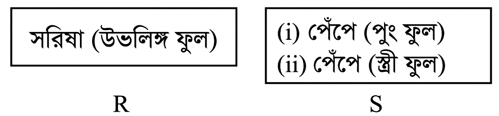 উদ্দীপকের ছবি
