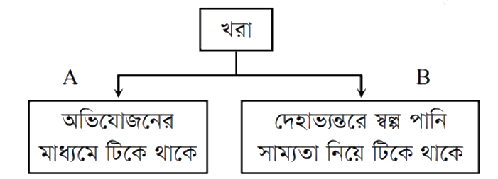প্রশ্নের উদ্দীপক