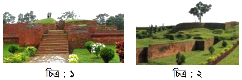 উদ্দীপকের ছবি
