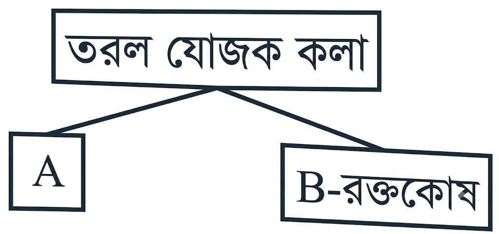 উদ্দীপকের ছবি