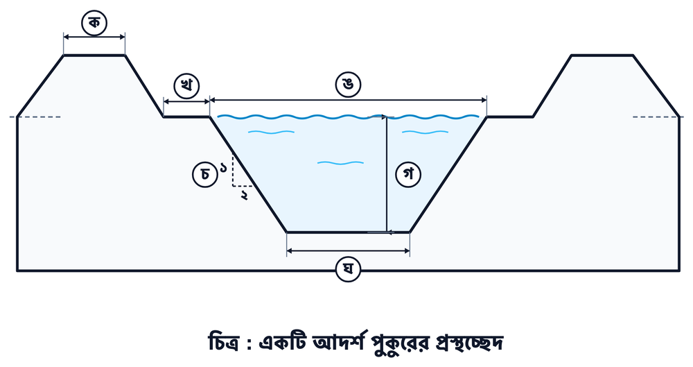 উদ্দীপকের ছবি