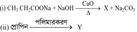 উদ্দীপকের ছবি