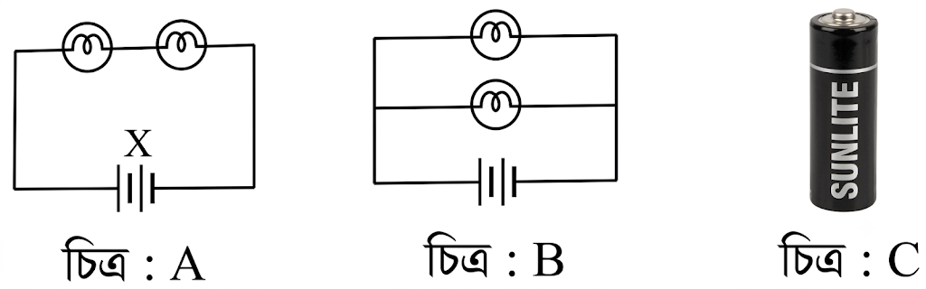 উদ্দীপকের ছবি