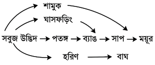 উদ্দীপকের ছবি