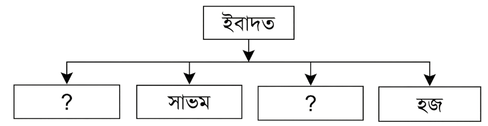 উদ্দীপকের ছবি