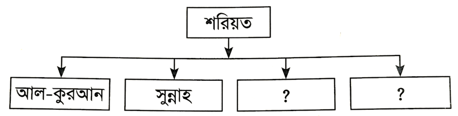 উদ্দীপকের ছবি