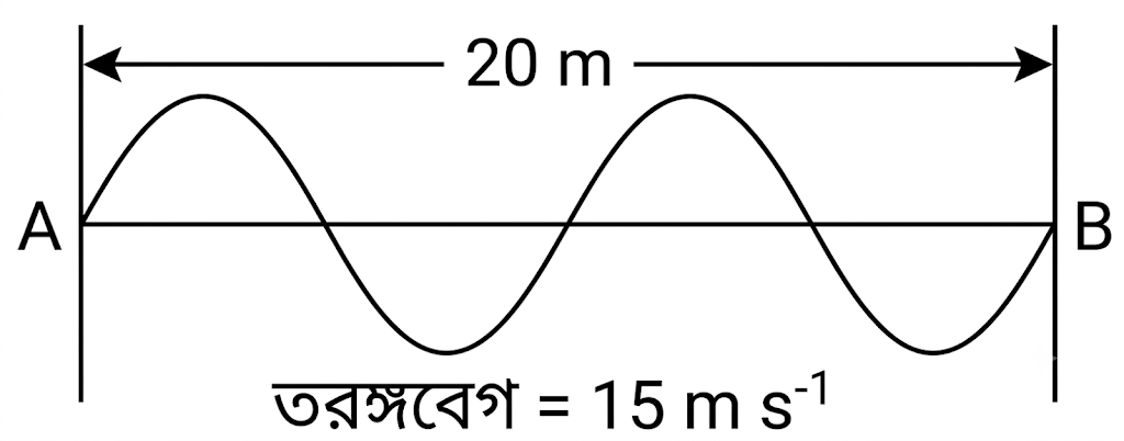 উদ্দীপকের ছবি