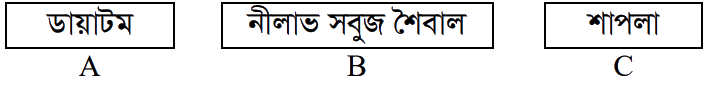উদ্দীপকের ছবি