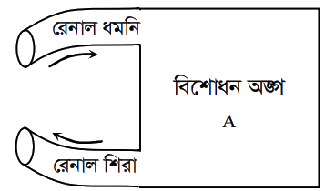উদ্দীপকের ছবি