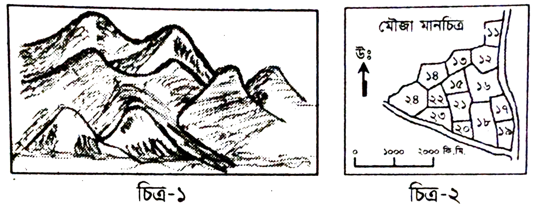 উদ্দীপকের ছবি