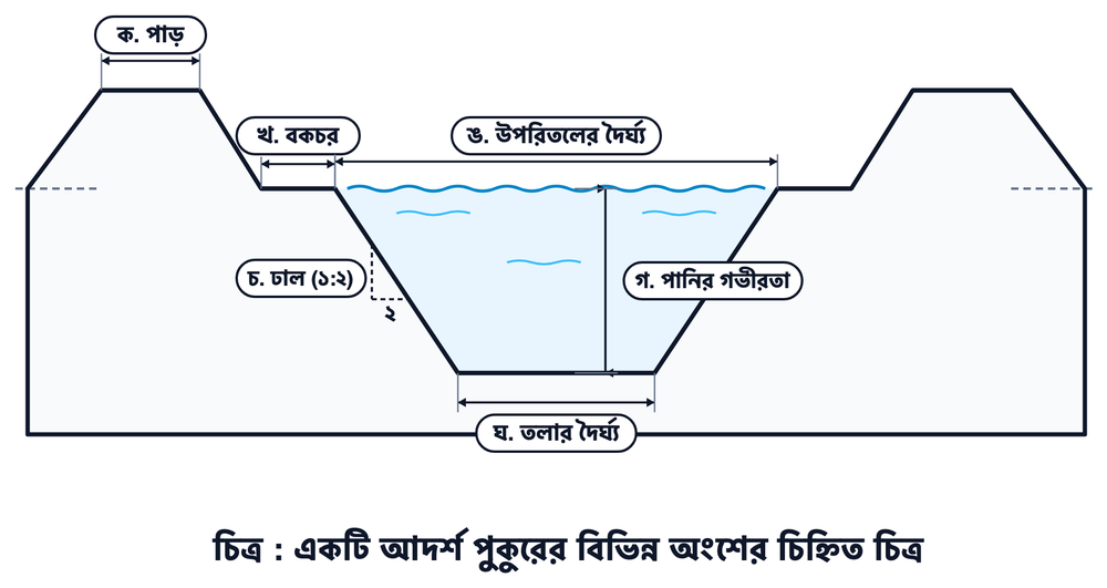 উত্তরের ছবি