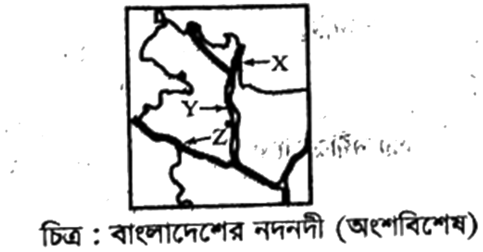 প্রশ্নের চিত্র