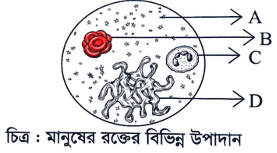 প্রশ্নের ছবি