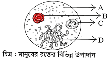 প্রশ্নের ছবি