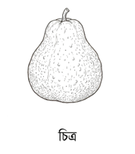 প্রশ্নের ছবি