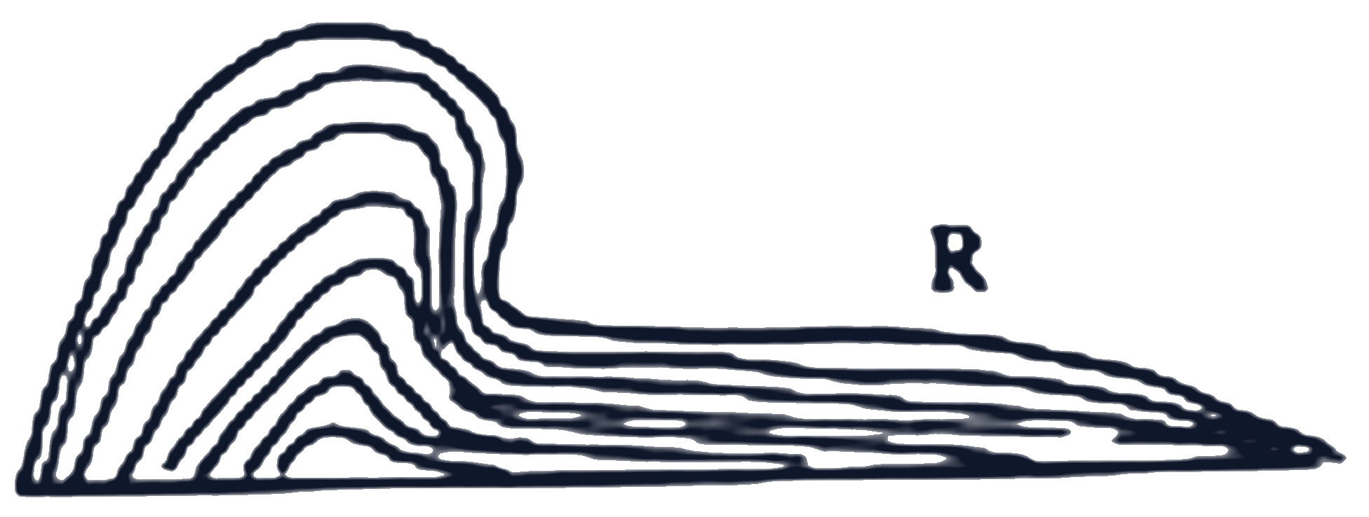 প্রশ্নের ছবি