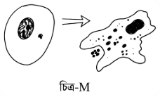 প্রশ্নের ছবি