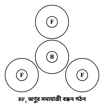 প্রশ্নের ছবি