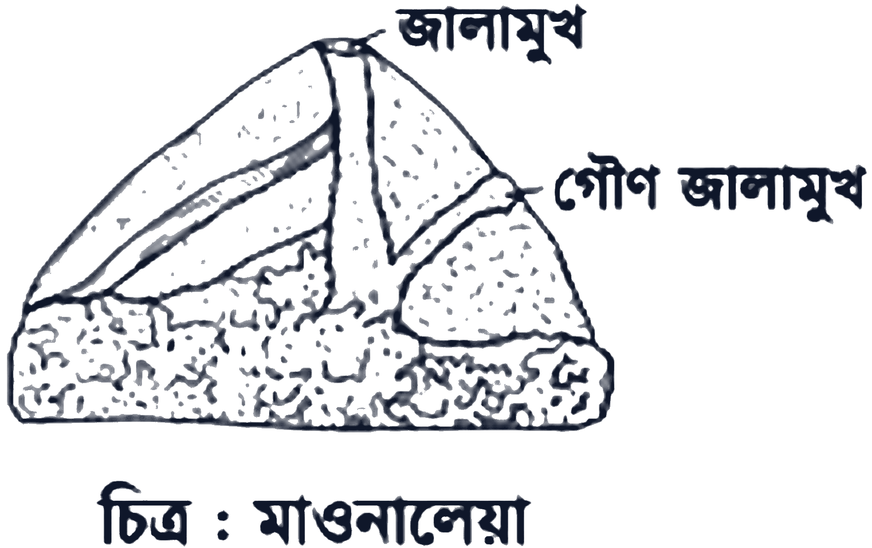 প্রশ্নের ছবি