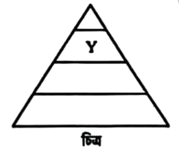 প্রশ্নের ছবি