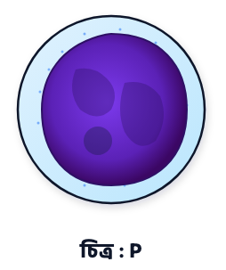 প্রশ্নের ছবি