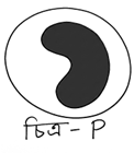 প্রশ্নের ছবি