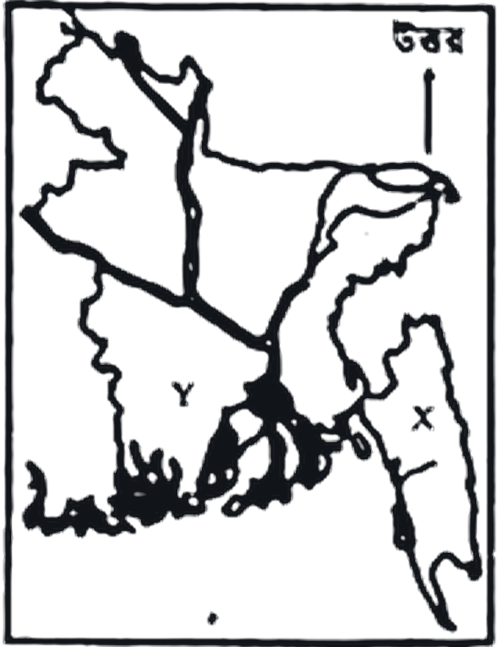 প্রশ্নের চিত্র