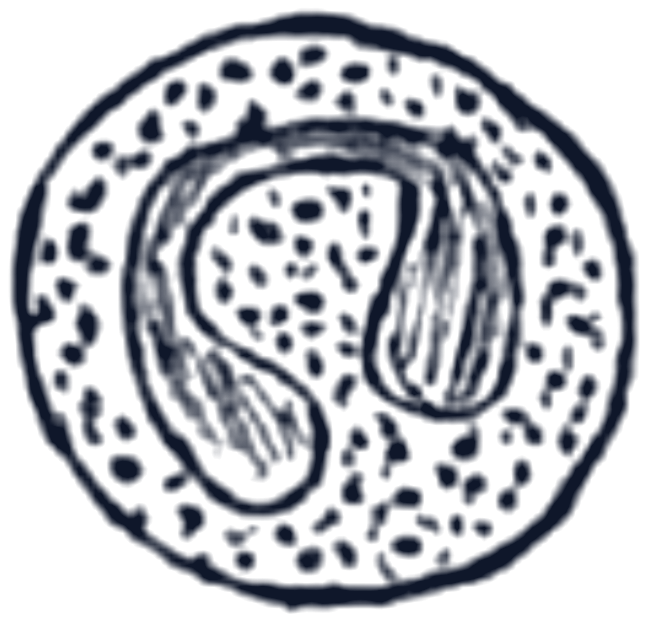 প্রশ্নের ছবি