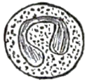 প্রশ্নের ছবি