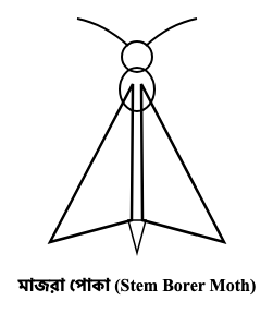 প্রশ্নের ছবি