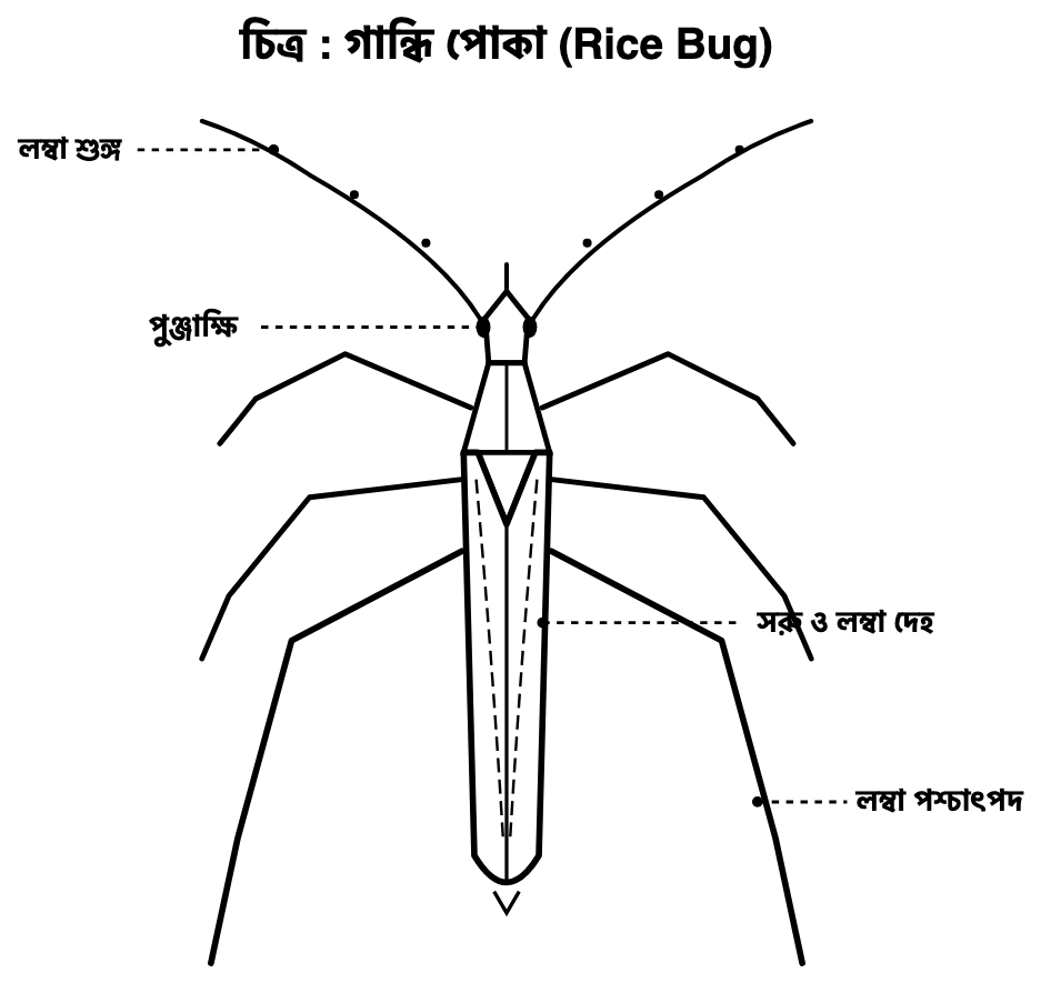 প্রশ্নের ছবি