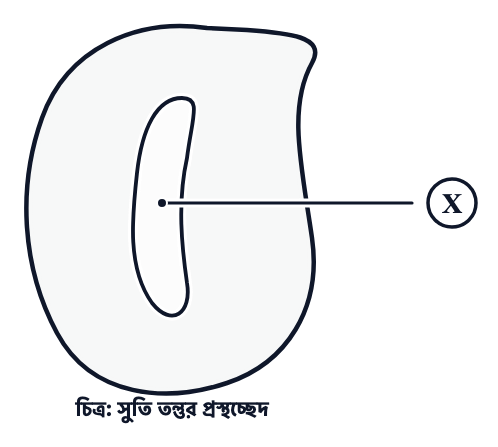 প্রশ্নের ছবি