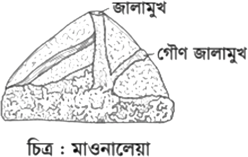 প্রশ্নের চিত্র